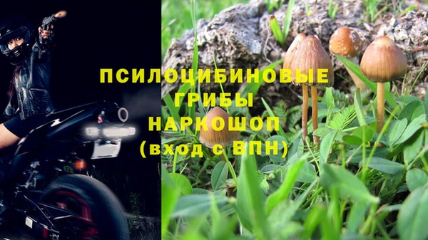 PSILOCYBIN Елабуга