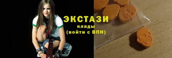 амф Снежногорск