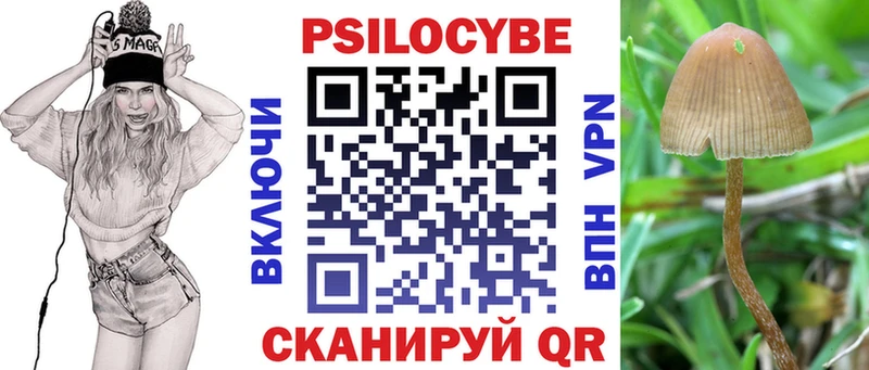 Псилоцибиновые грибы прущие грибы  Мончегорск 